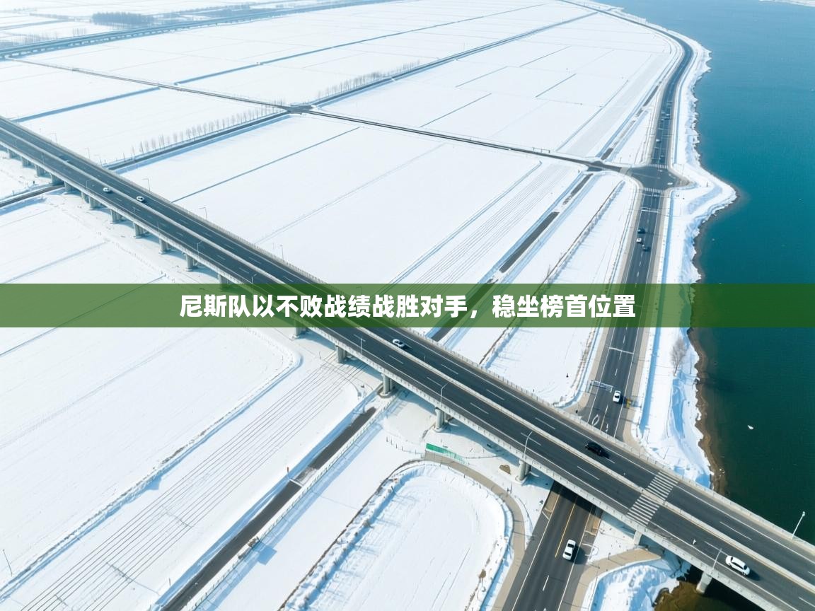 尼斯队以不败战绩战胜对手,稳坐榜首位置 第2张