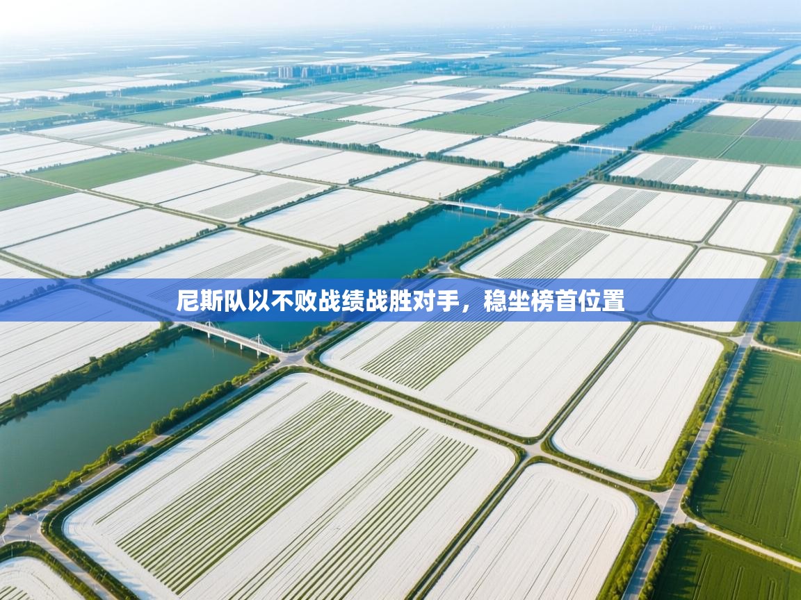 尼斯队以不败战绩战胜对手,稳坐榜首位置 第1张