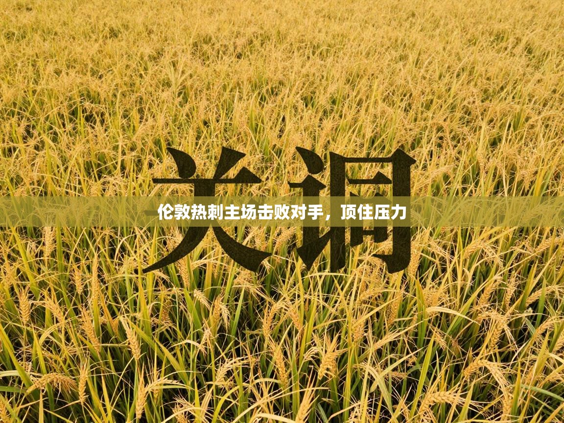 伦敦热刺主场击败对手，顶住压力  第1张