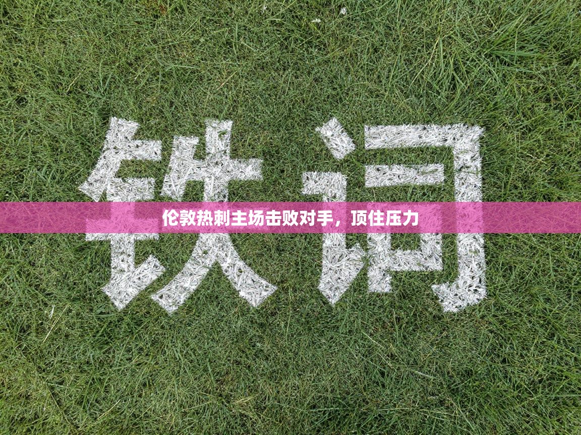 伦敦热刺主场击败对手，顶住压力  第2张