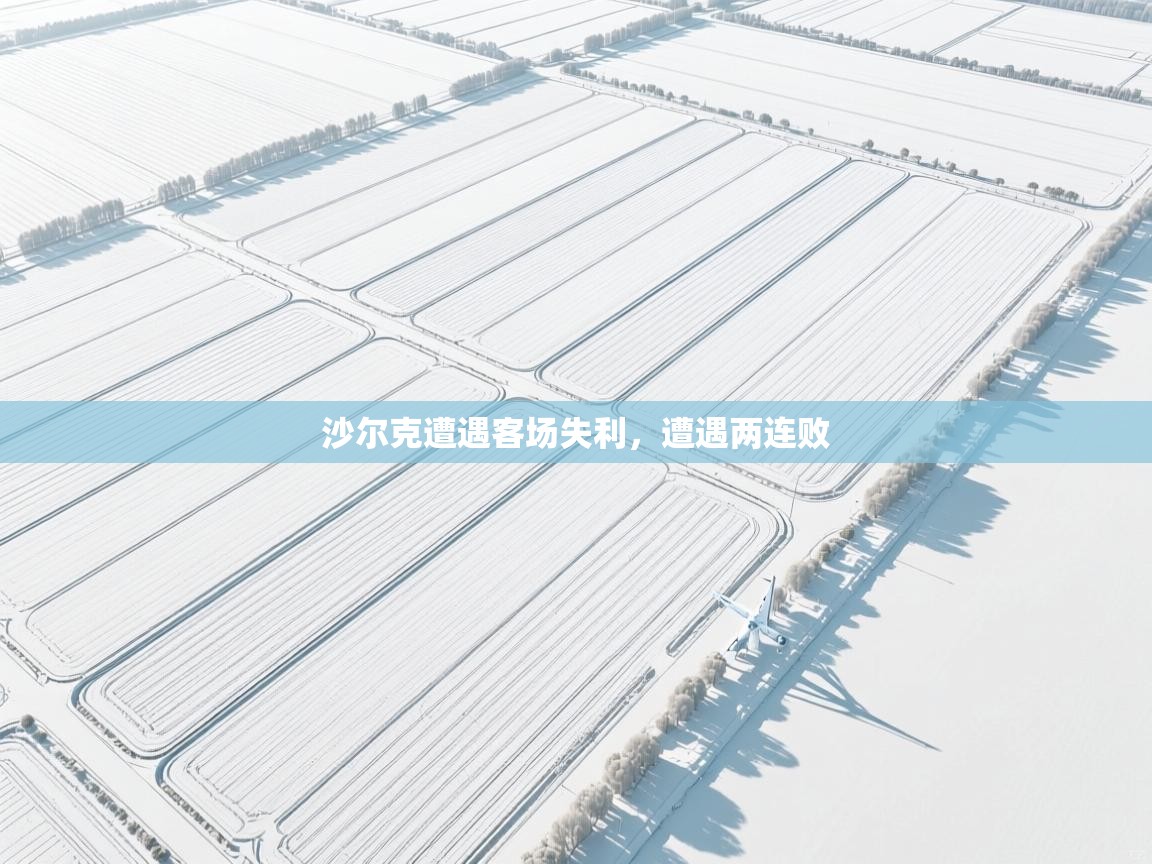 沙尔克遭遇客场失利,遭遇两连败 第1张