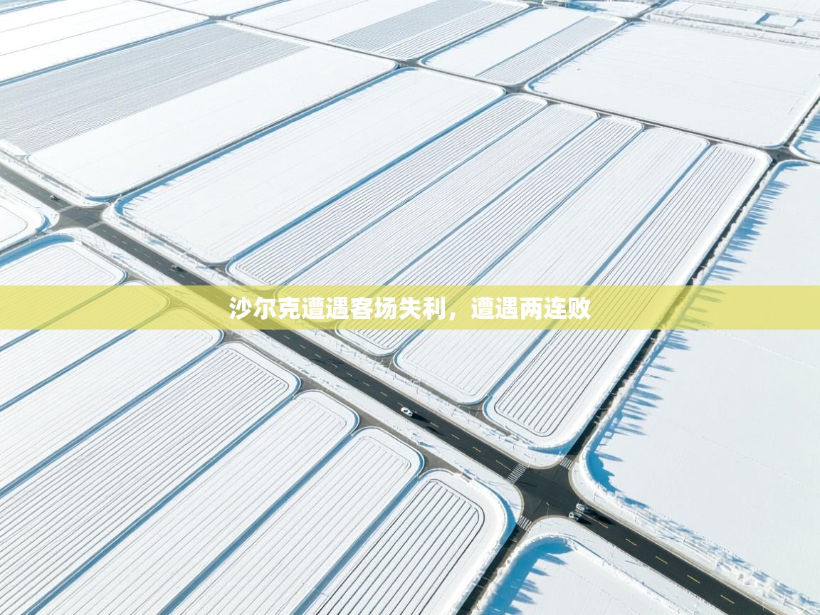 沙尔克遭遇客场失利,遭遇两连败 第2张